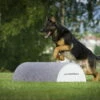 Dogsworld Turnierhundesport Halbtonne