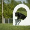 Dogsworld Turnierhundesport Reifen