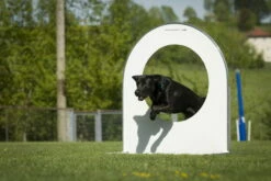 Dogsworld Turnierhundesport Reifen