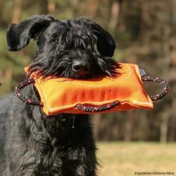 FreshLine Keilförmiges Beißkissen Nylcot 7 FreshLine Keilförmiges Beißkissen Nylcot -Haustierzubehör Geschäft freshline keilfoermigesbeisskissen p4dc5288 7425065yM2F6JYXoW0zq