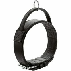 Hunter Trainingshalsband Mit Griff Larvik