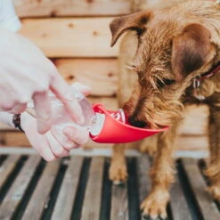 Hunter Outdoor Trinkflasche Mit Silikonnapf -Haustierzubehör Geschäft hunter trinkflasche list anwendung2 7072483MyvucusaO436w