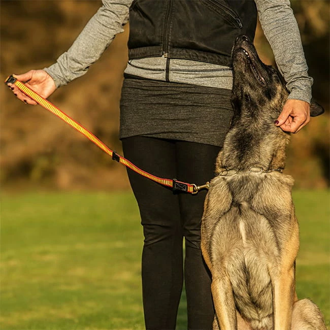 Niggeloh Unterordnungsleine De Luxe 5 Niggeloh Unterordnungsleine De Luxe – Bild 3