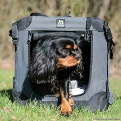 Maelson Soft Kennel Hundebox -Haustierzubehör Geschäft maelson softkennel crt 6543 68372058W45ZjMjJcaX9