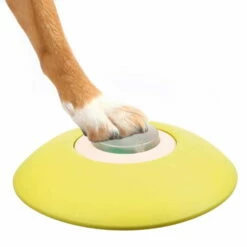 Trixie Memory Trainer 2.0 Strategiespiel -Haustierzubehör Geschäft memory trainer strategiespiel anwendungsbild 7072421iKH3th3ctEyfR