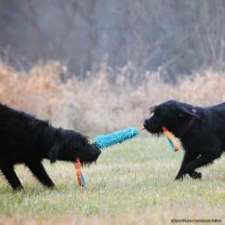 MOPIK KRABIK -Haustierzubehör Geschäft mopik krabik orang blau p4dc0187 7021325dnlCObf3Exuw9