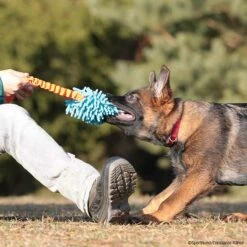 MOPIK KRABIK -Haustierzubehör Geschäft mopik krabik orang blau p4dc3547 7021325mBLNYODEqWCTP