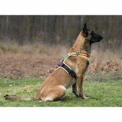 Hundeführgeschirr Follow Sport PLUS -Haustierzubehör Geschäft niggeloh hundefuehrgeschirr follow sport plus anwendung2 7017055