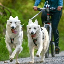 Non-Stop Dogwear Bike Antenne KlickFix -Haustierzubehör Geschäft nonstop dogware bike antenne klickfix anwendung 7022132JSkWLk5WWGZz5