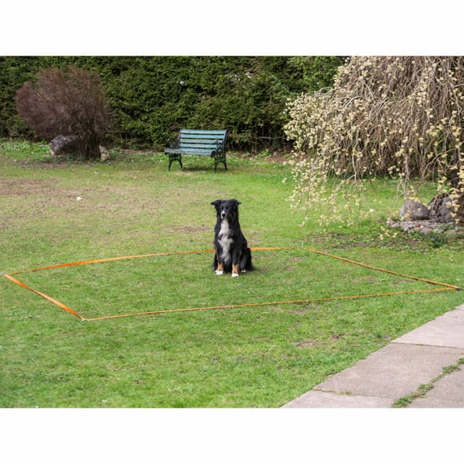 Obedience Starter-Set 5 Obedience Starter-Set – Bild 3