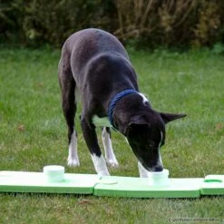 SniffleDog Classic Set Grün -Haustierzubehör Geschäft sniffledog classicsetgruen crt 6508 70134801Tq3iUe7GR5Pm