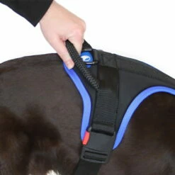 Sporthund Nylon Geschirr -Haustierzubehör Geschäft sporthund nylon geschirr griff 7262055Hc4ZJVZuY0cbG