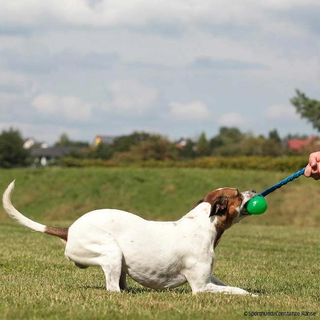 Treat Dispensing Chew Ball Mit Bungee-Seil 5 Treat Dispensing Chew Ball Mit Bungee-Seil – Bild 3